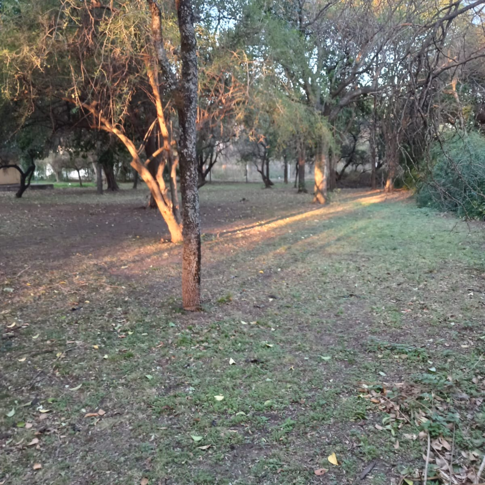 TERRENO EN MENDIOLAZA