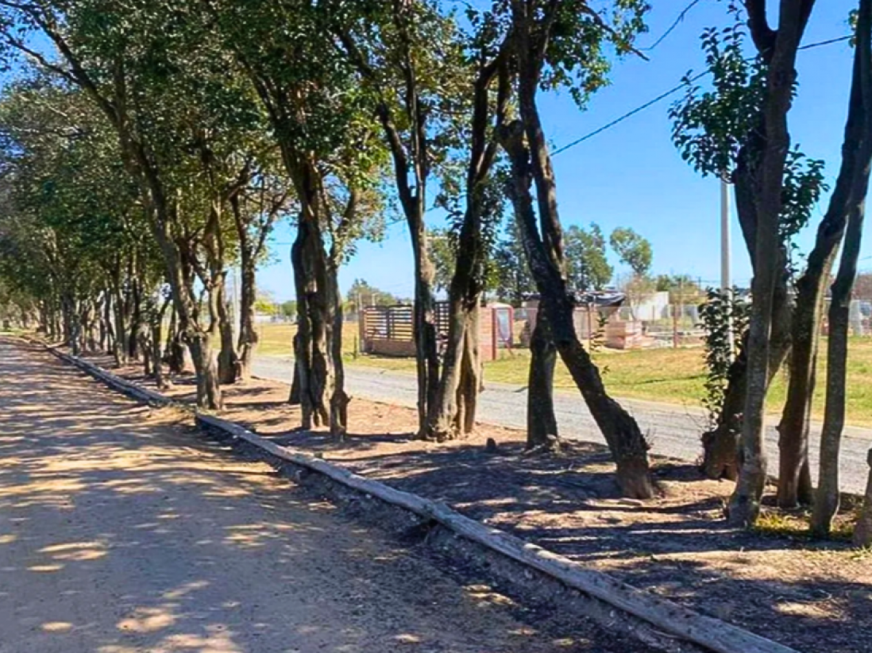 LOTES - TIERRA DE AUTORES